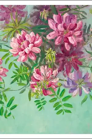 Beste Prijs Wenskaart Claartje van der Linden – Kroonwikke – 15 x 15