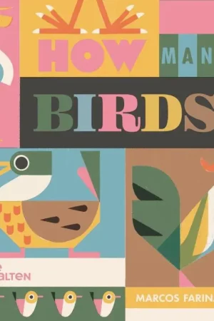Alleen Vandaag How Many Birds?