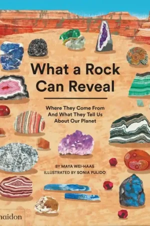 Favoriet What a Rock Can Reveal