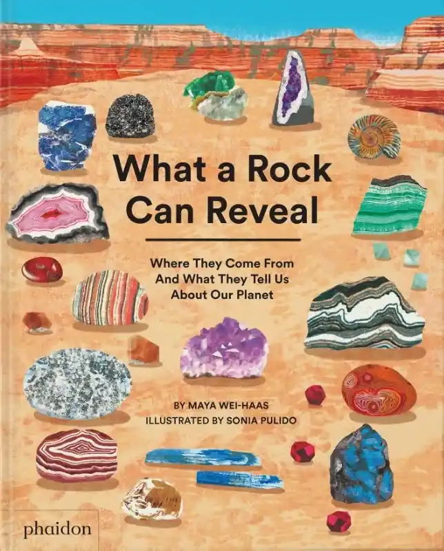 Favoriet What a Rock Can Reveal