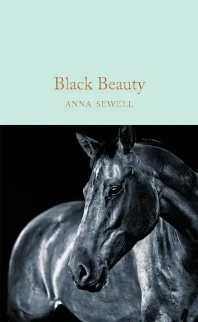 Black Beauty Nieuw