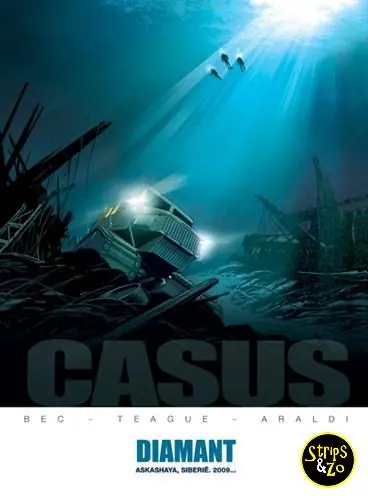Casus 1 – Diamant Actieprijs