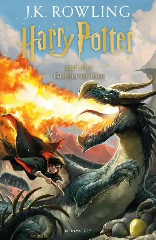 Harry Potter and the Goblet of Fire Direct Verzonden