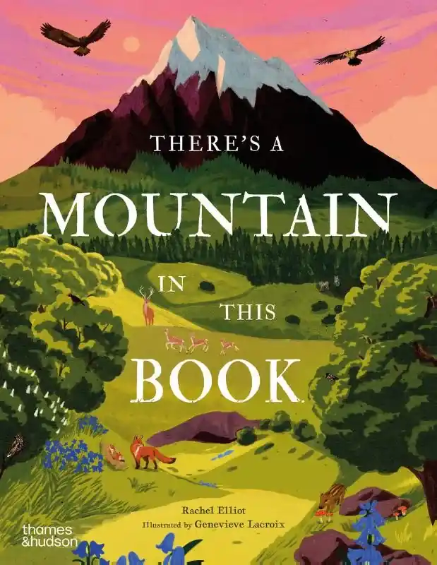 Koop Online There's a Mountain in This Book