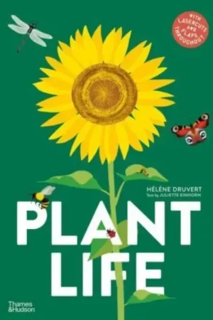 Beperkt Aanbod Plant Life
