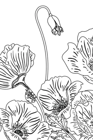 Doek katoen voorbedrukt – 30 x 30 anemonen Goedkoop