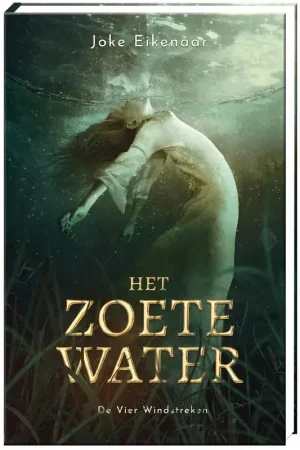 Fabrieksprijs Het zoete water