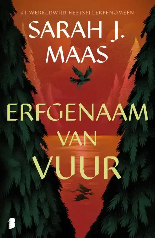Erfgenaam van vuur Voordeelprijs