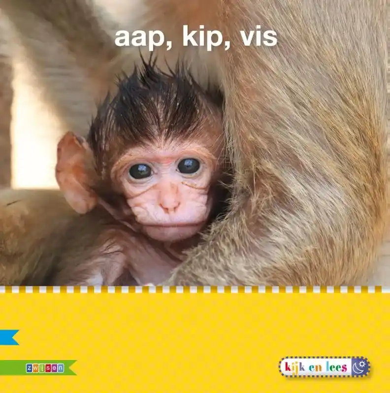 Aap, kip, vis Direct Beschikbaar