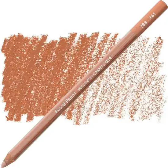 Must-Have Caran d'ache pastelpotlood darkflesh 5% 741