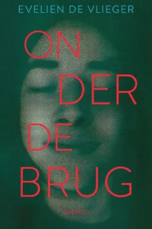 Premium Onder de brug