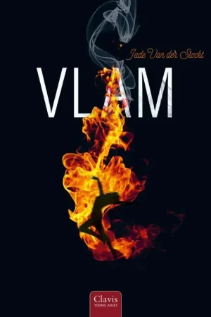 Bestseller Vlam