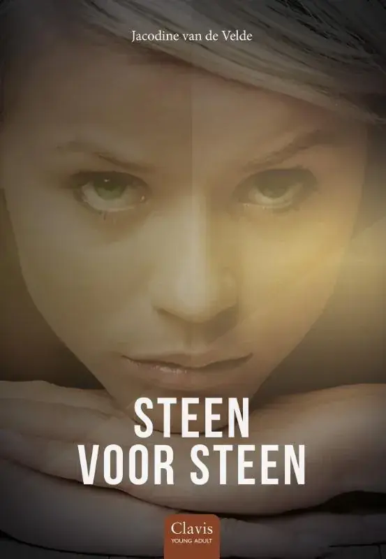 Hoge Kwaliteit Steen voor steen