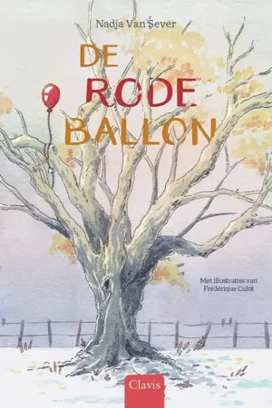 Weekendaanbieding De rode ballon