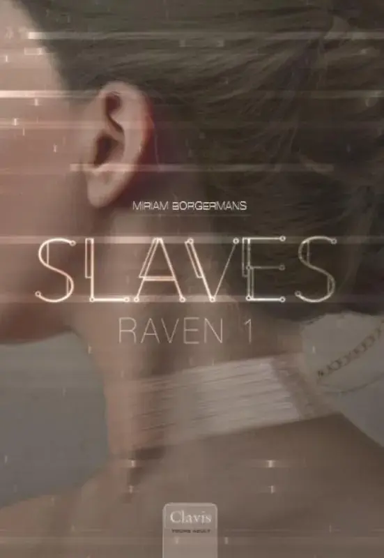 Raven 1 Lage Kosten
