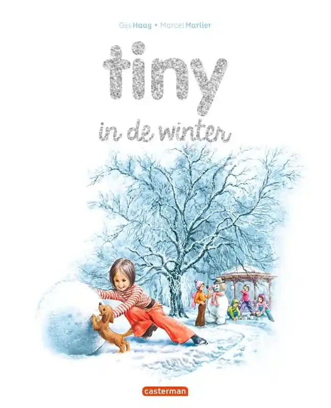 Hoge Kwaliteit Tiny in de winter