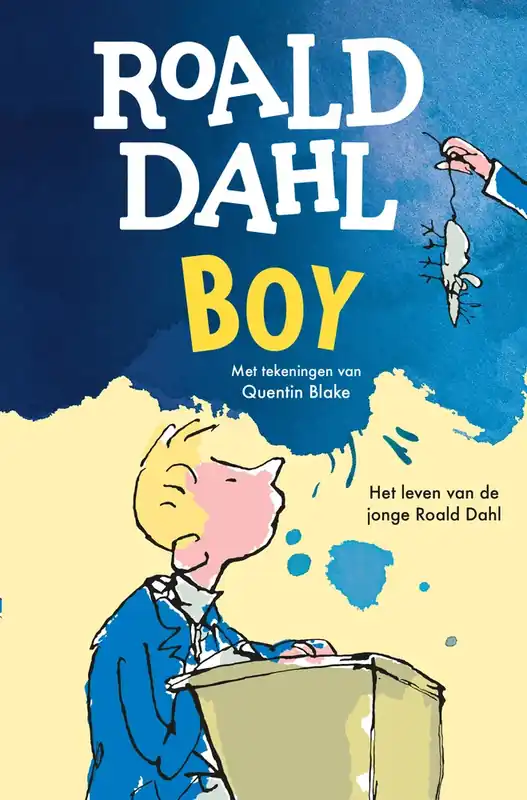 Boy Rechtstreeks Van De Fabrikant