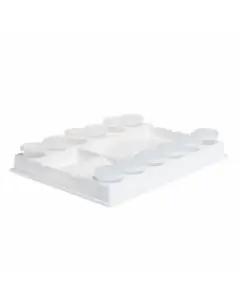 Veilige Betaling Palettray 20 x 15 x 3 incl. 12 flesjes