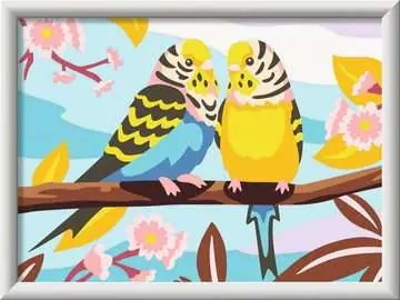 Koopje Ravensburger schilder op nummer – 18 x 24 – 9+ Lovely Budgies