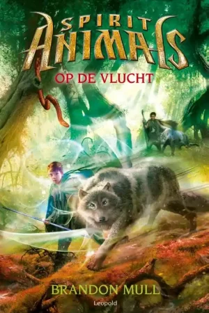 Direct Verzonden Op de vlucht