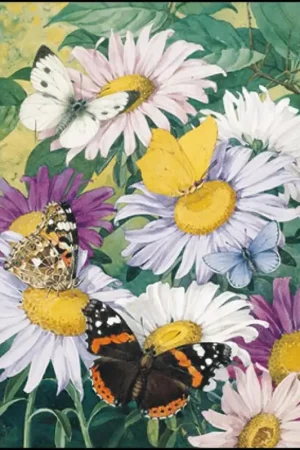 Ansichtkaart PC1397 – Asters met koolwitje, distelvlinder, atalanta en blauwtjes, Jan jr Voerman Favoriet