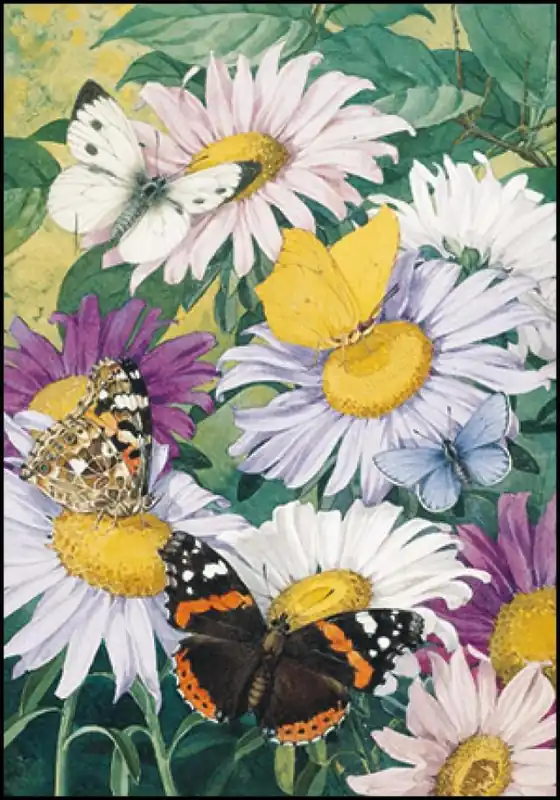 Ansichtkaart PC1397 – Asters met koolwitje, distelvlinder, atalanta en blauwtjes, Jan jr Voerman Favoriet