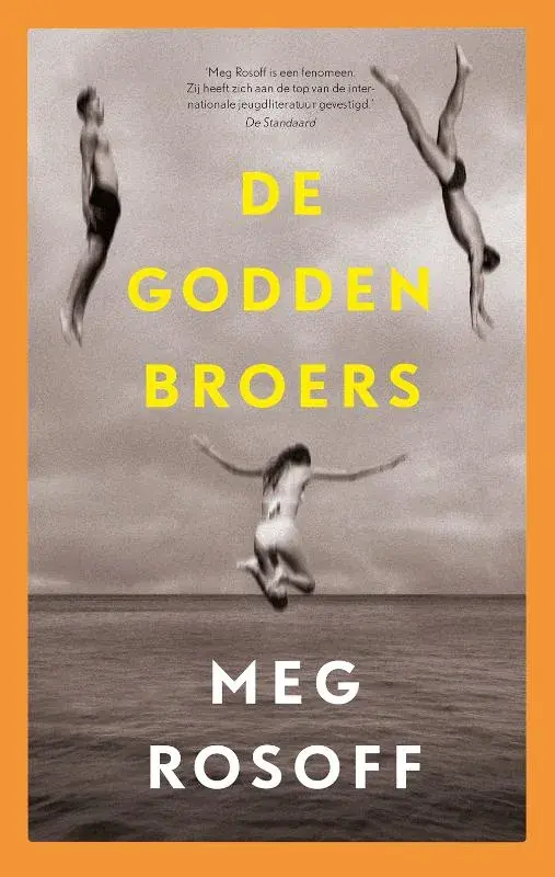 Beste Prijs De Godden broers