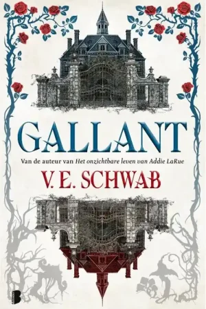Direct Beschikbaar Gallant
