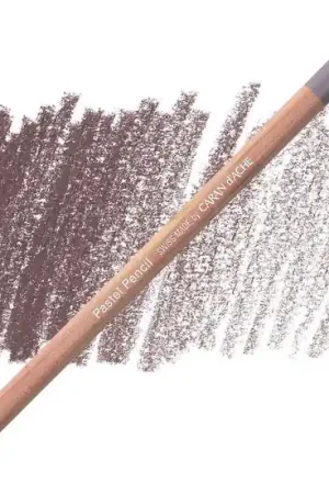 Lage Kosten Caran d'ache pastelpotlood – 093 violet grey