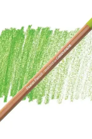Caran d'ache pastelpotlood 232 Bestseller