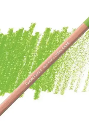 Rechtstreeks Van De Fabrikant Caran d'ache pastelpotlood light olive 20% 243