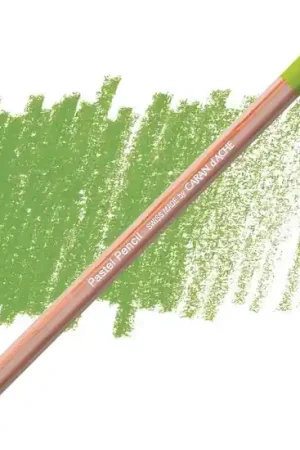 Caran d'ache pastelpotlood 245 Voordeelprijs