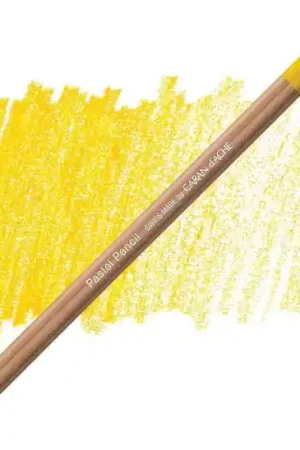 Exclusieve Aanbieding Caran d'ache pastelpotlood 530