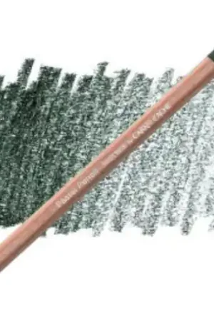 Shop Nu Caran d'ache pastelpotlood 719