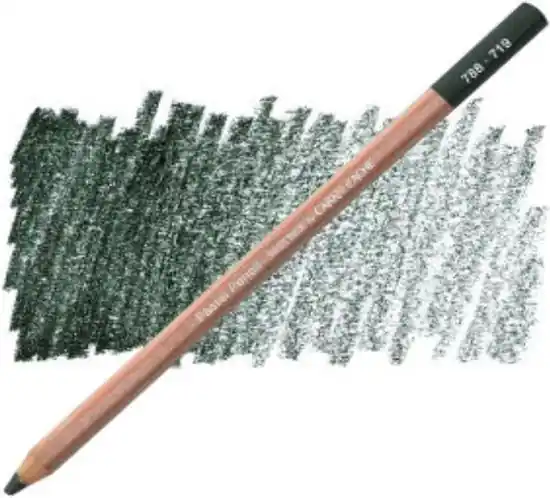 Shop Nu Caran d'ache pastelpotlood 719