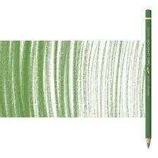 Caran d'ache pablo 225 mosgroen Hoge Kwaliteit