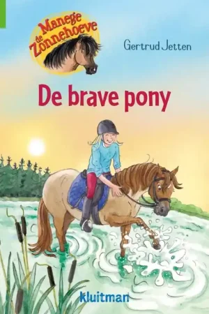Premium De brave pony