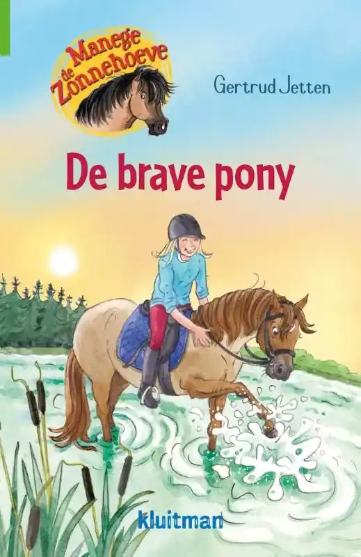 Premium De brave pony