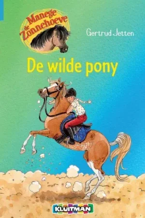 De wilde pony Rechtstreeks Van De Fabrikant