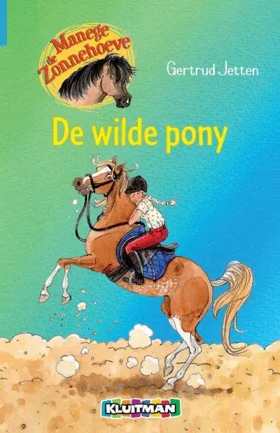 De wilde pony Rechtstreeks Van De Fabrikant