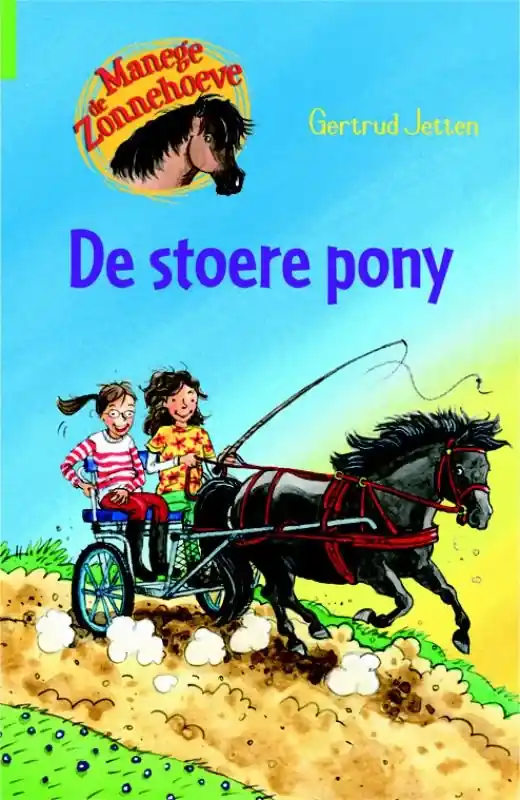 Gereduceerde Prijs De stoere pony