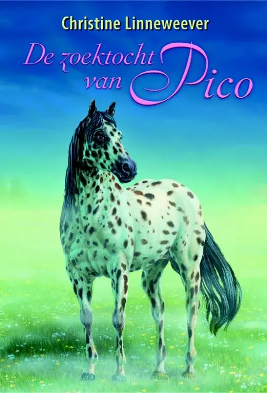 De zoektocht van Pico Gratis Retour