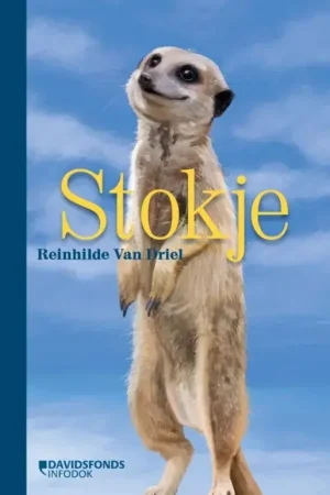 Flitsaanbieding Stokje