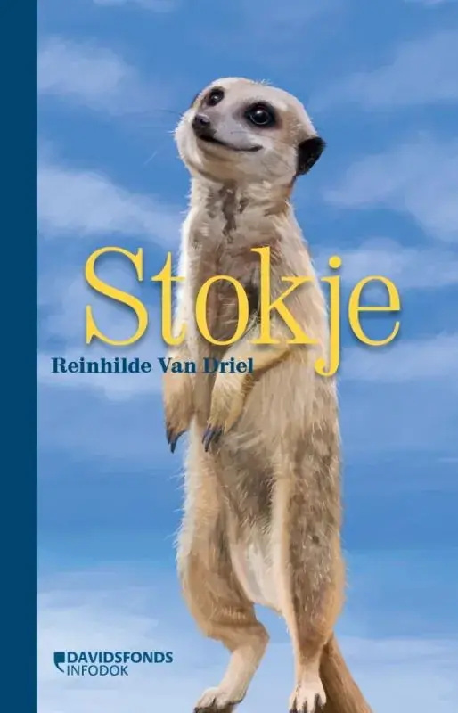 Flitsaanbieding Stokje