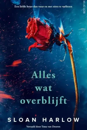 Alles wat overblijft Lage Kosten