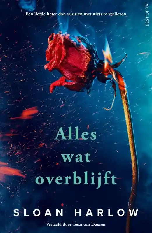 Alles wat overblijft Lage Kosten