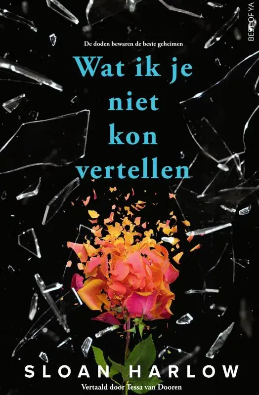 Gecertificeerd Wat ik je niet kon vertellen