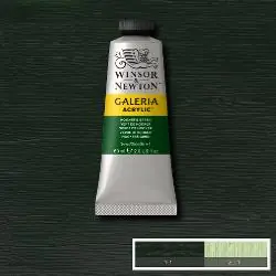 Winsor & Newton Galeria acryl 60ml – 311 hooker's groen Koop Vandaag