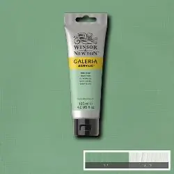 Actieprijs Winsor & Newton Galeria acryl 120ml – 435 pale olive