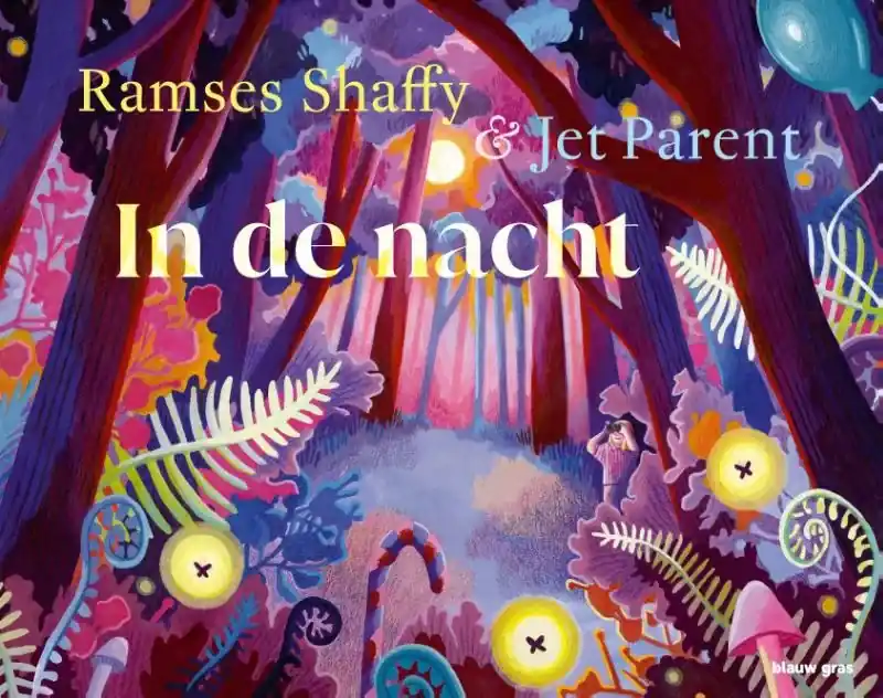 In de nacht Betaalbaar